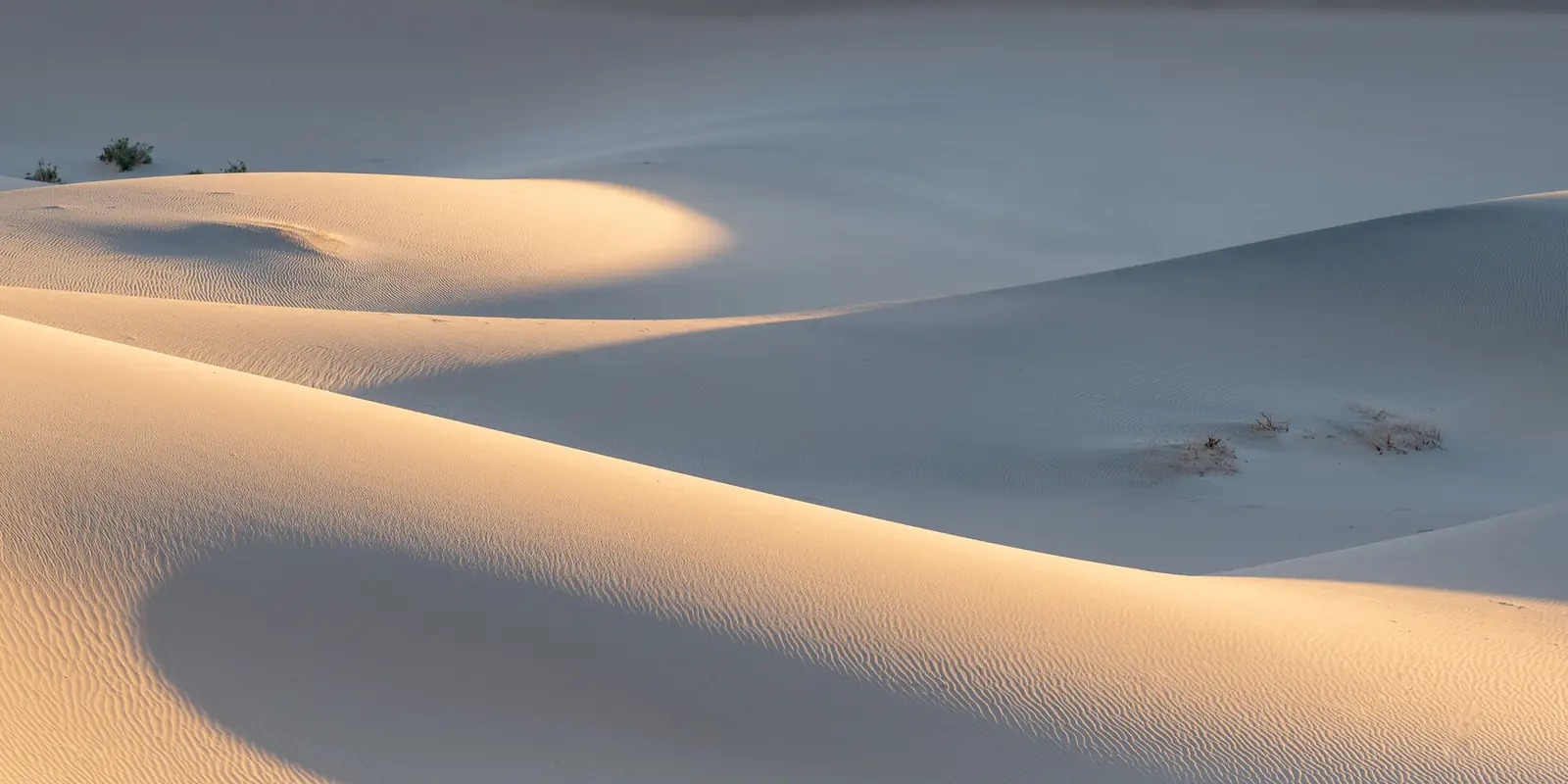 Dunas de arena al atardecer